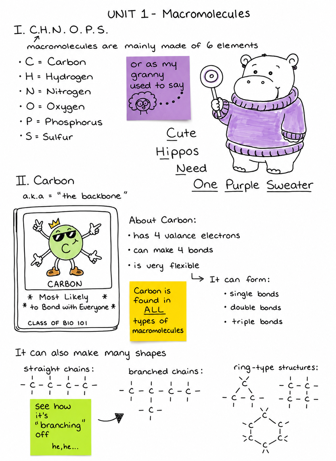 Ap Biology Unit 1 Notes